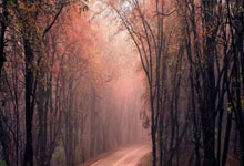 空前失利点燃球队斗志，一往无前追梦