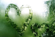 阿尔勒主场对抗甘冈，双方展开激战