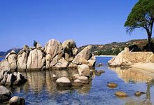 波黑队在对阵立陶宛的比赛中大获全胜：辉煌之夜点燃球迷热情